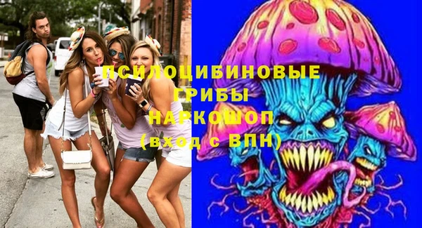 прущие грибы Алексеевка