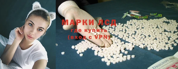 прущие грибы Алексеевка